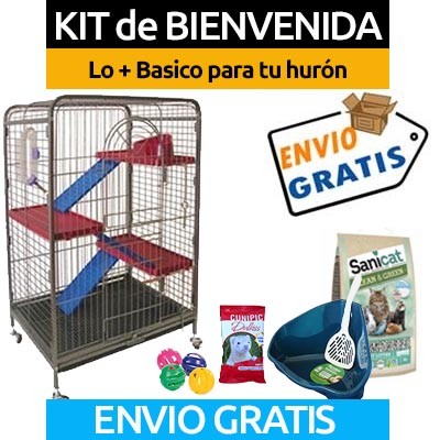 KIT de BIENVENIDA para hurones