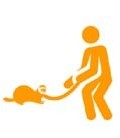 Arneses para Hurones