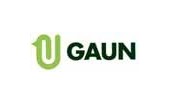 Gaun
