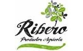 Ribero