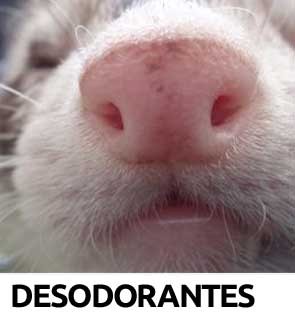 Desodarantes