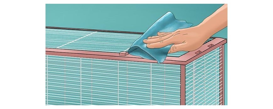 LIMPIEZA DE LA JAULA DEL HURON. 7 CONSEJOS MUY UTILES.